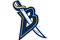 Saint-Louis Blues T.B 218218